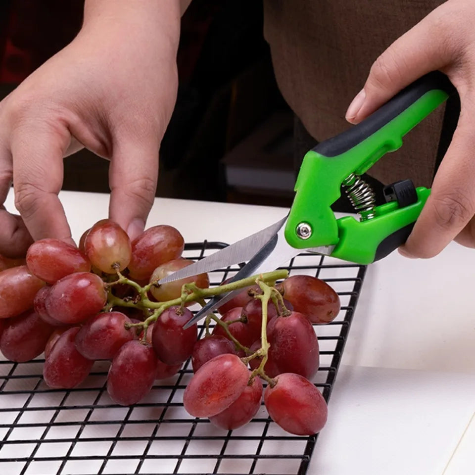 Stainless Steel Pruning Shears Handheld Garden Scissors Practical Trimming Tool for Branches Flowers and Household Plant Care